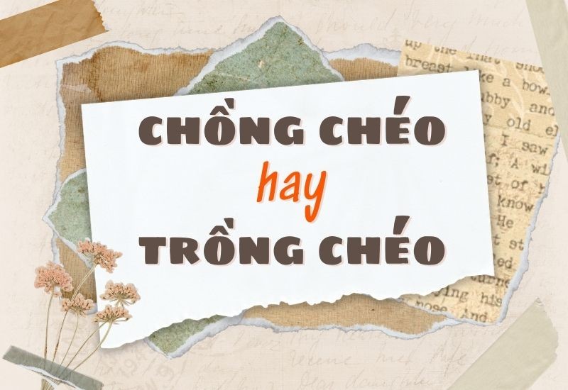 Minh họa sự nhầm lẫn giữa "chồng chéo" và "trồng chéo"