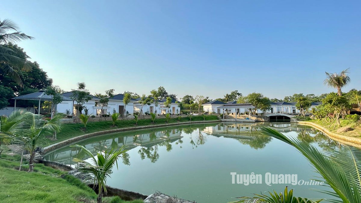 Không gian thiên nhiên ngập tràn sắc xanh tạo cảm giác thư thái tại Bách Thảo Ngân