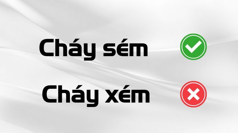 Ảnh minh họa cho việc hiểu nhầm giữa cháy sém và cháy xém