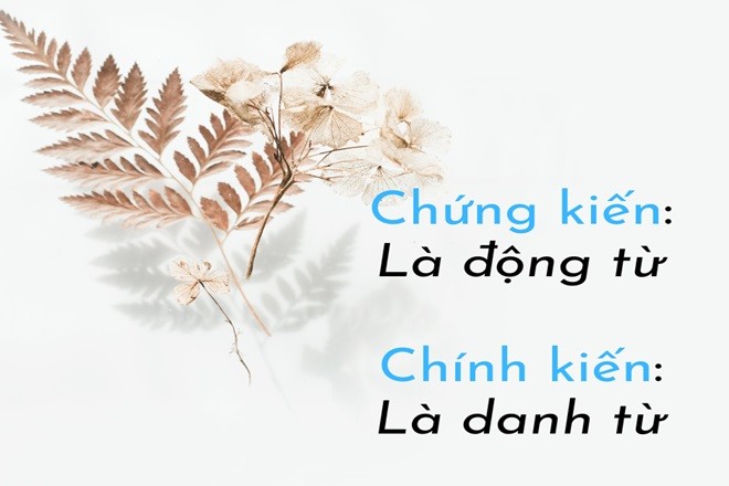 Cần phân biệt chứng kiến và chính kiến trong giao tiếp