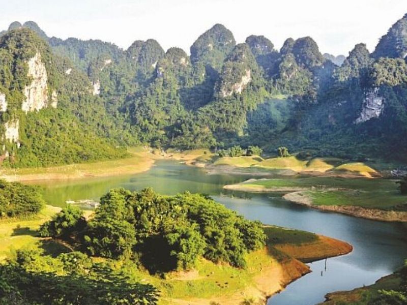 Toàn cảnh 