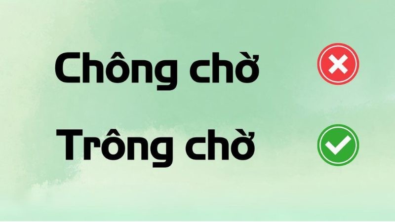 Trông chờ hay chông chờ, đâu là cách viết đúng chính tả
