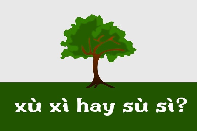 Vỏ cây có bề mặt xù xì