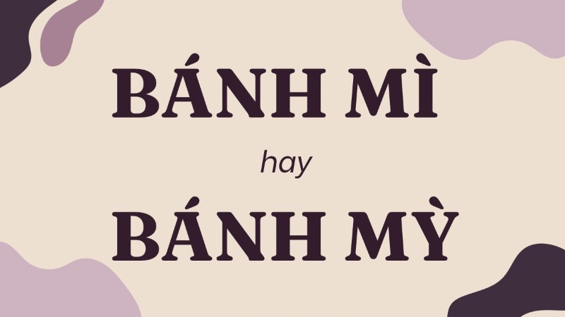 Hình ảnh minh họa món bánh mì Việt Nam hấp dẫn