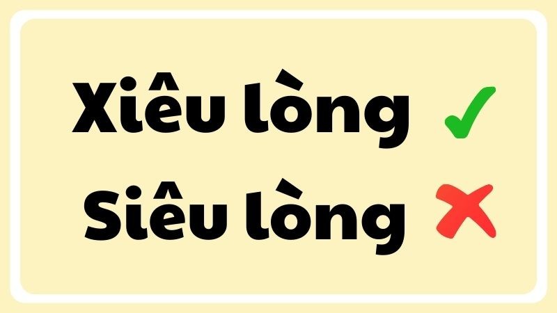 Minh họa phân biệt xiêu lòng và siêu lòng